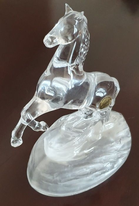 Cavalo Cristal d'Arques - France