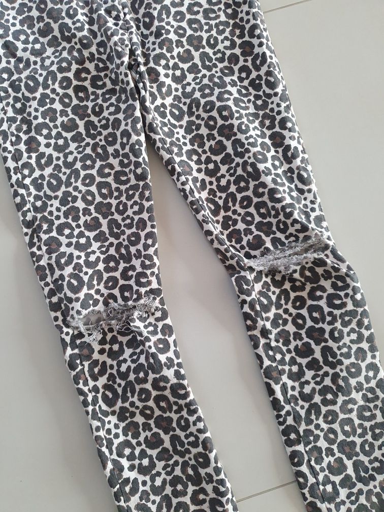 Spodnie Ola Voga S Animal print