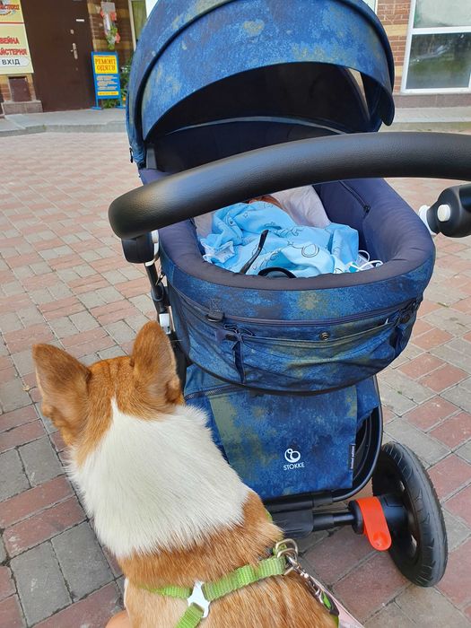 Эксклюзивная коляска Stokke trailz.
