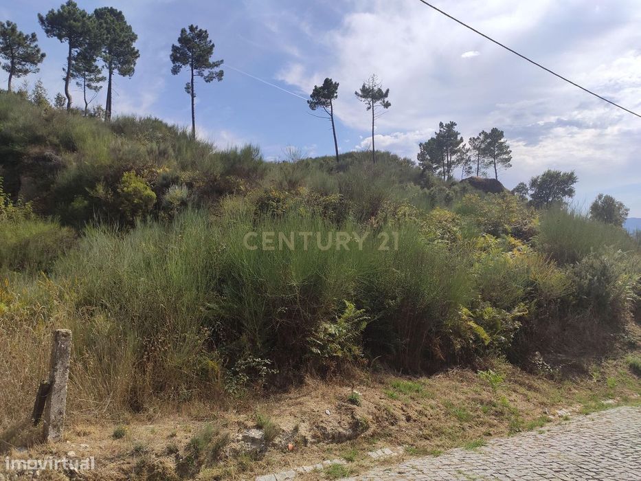Terreno agrícola em zona habitacional e com ótimos acessos em Travanca