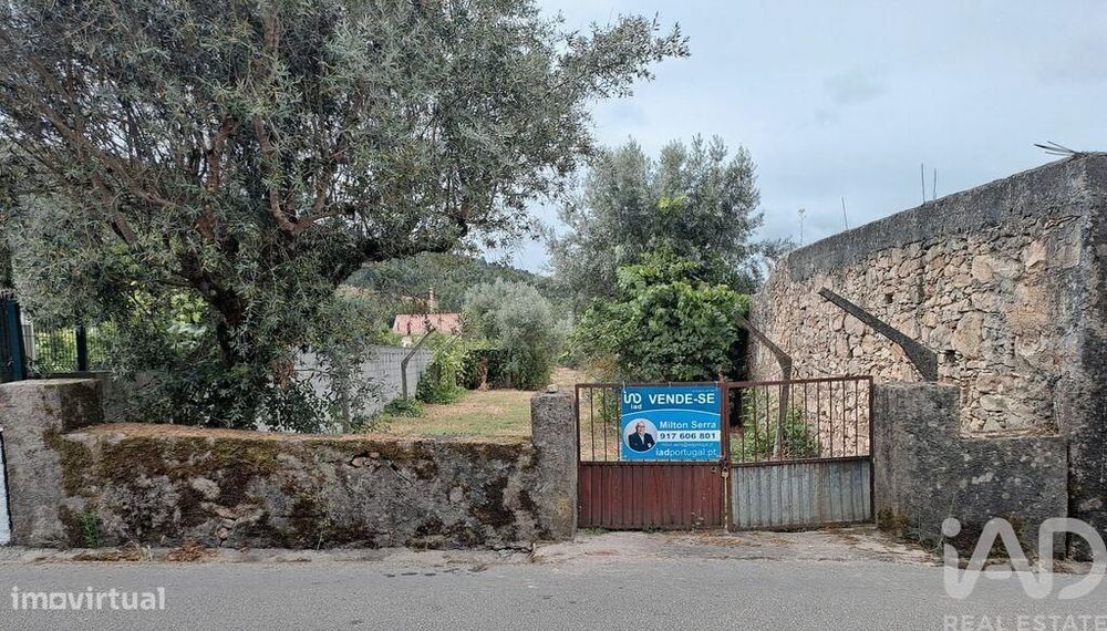 Terreno em Poiares (Santo André)