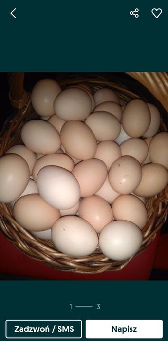 Swojskie jajka świeże