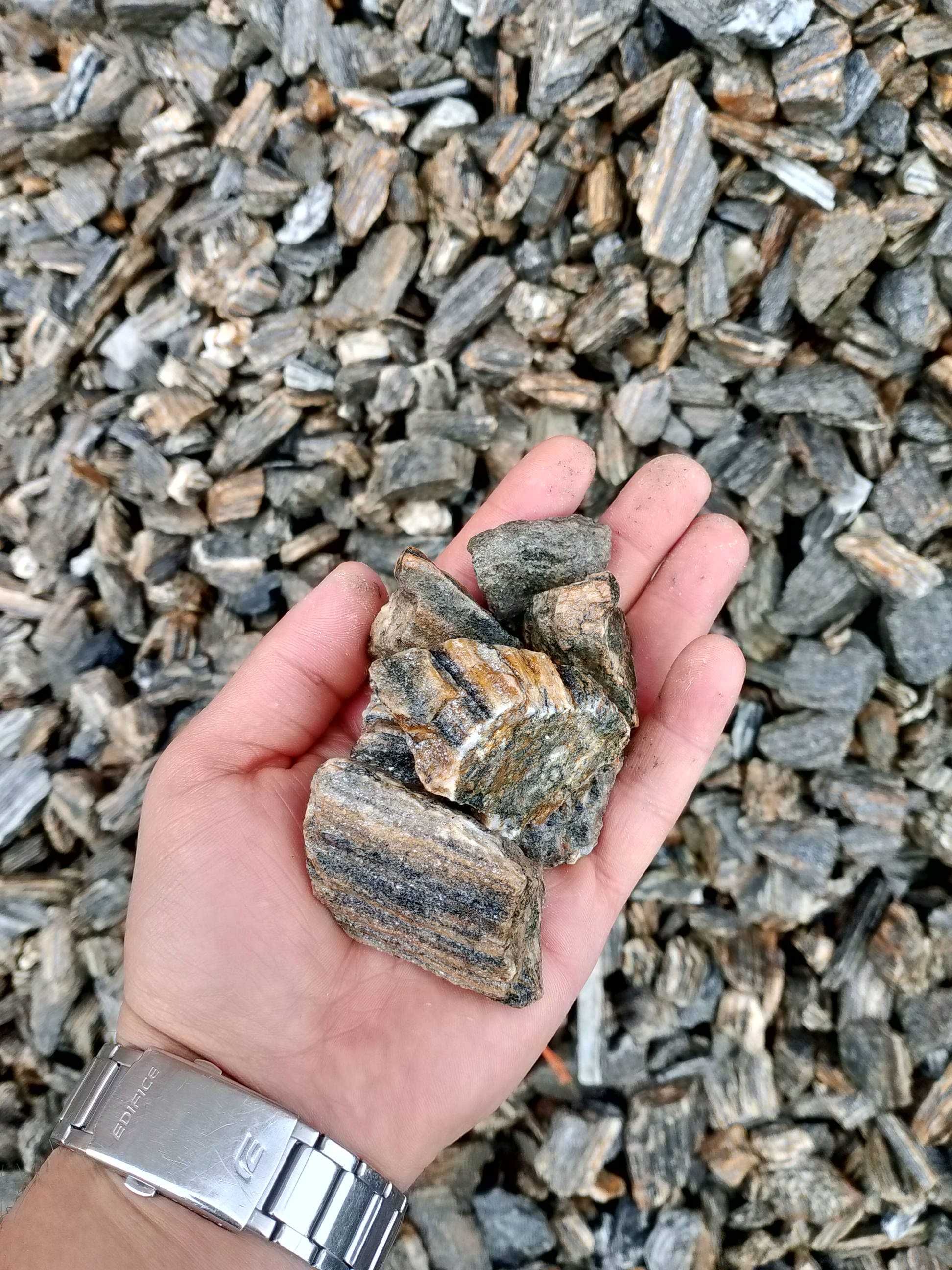Kora Kamienna Gnejs - różne rozmiary, Darex Brzeg Oława