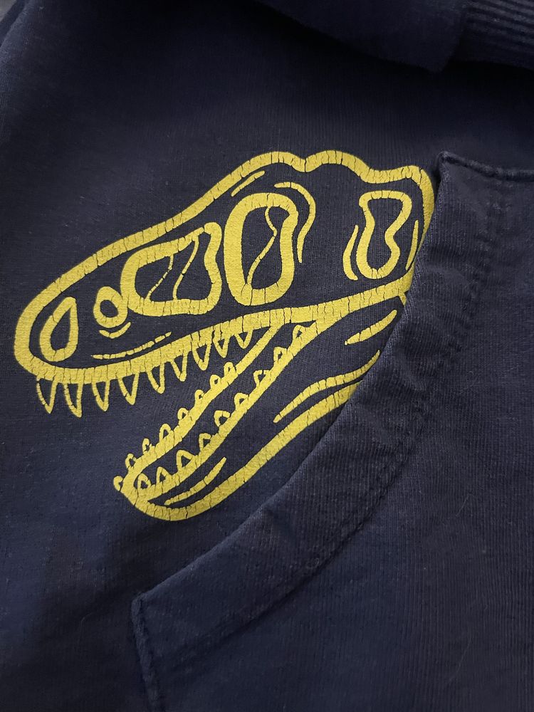 Bluza z dinozaurem