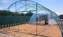 Tunel foliowy szklarnia 30 m x 3 m x 7 m