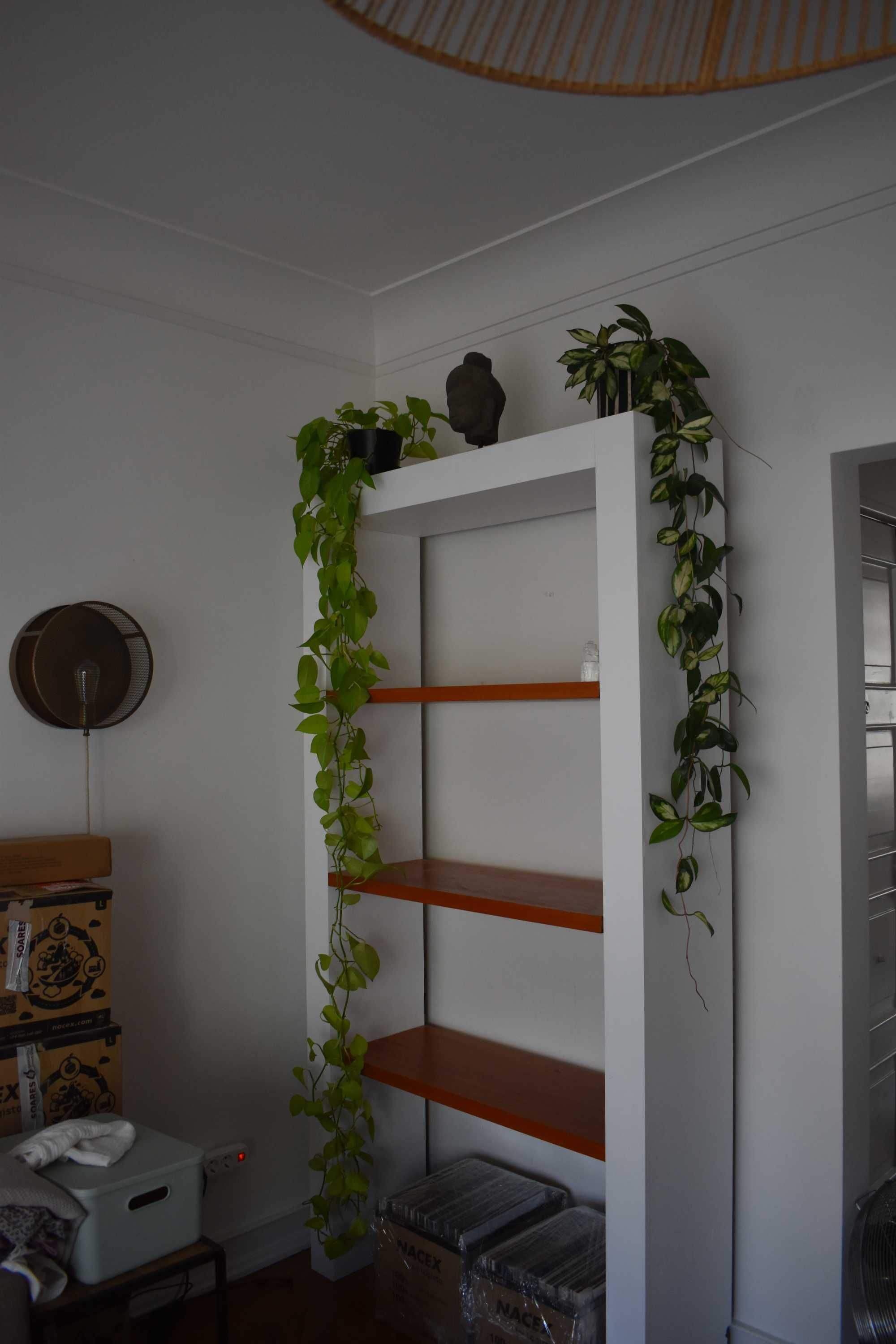Estante de madeira maciça pintada a branco