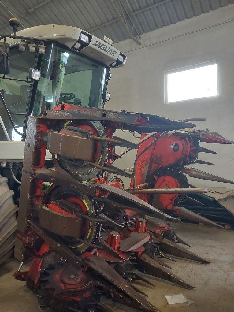Kemper heder 8 rzędowy adaptacja claas jaguar