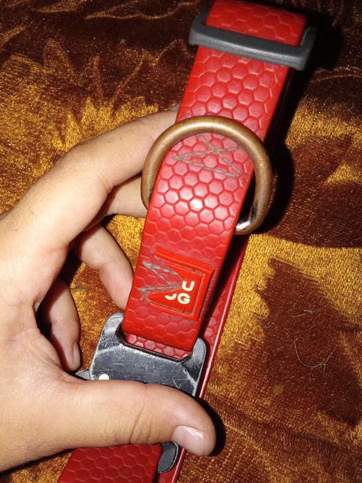 Нашийник вау дог