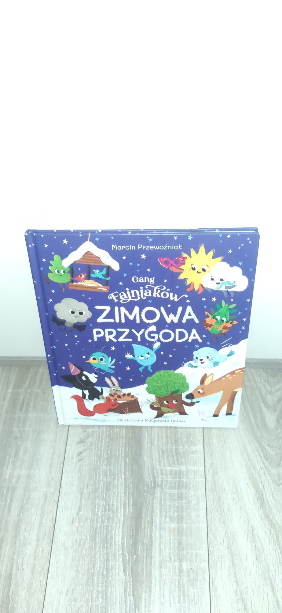 Książka dla dzieci - Gang Fajniaków. Zimowa przygoda Marcin Przewoźnik