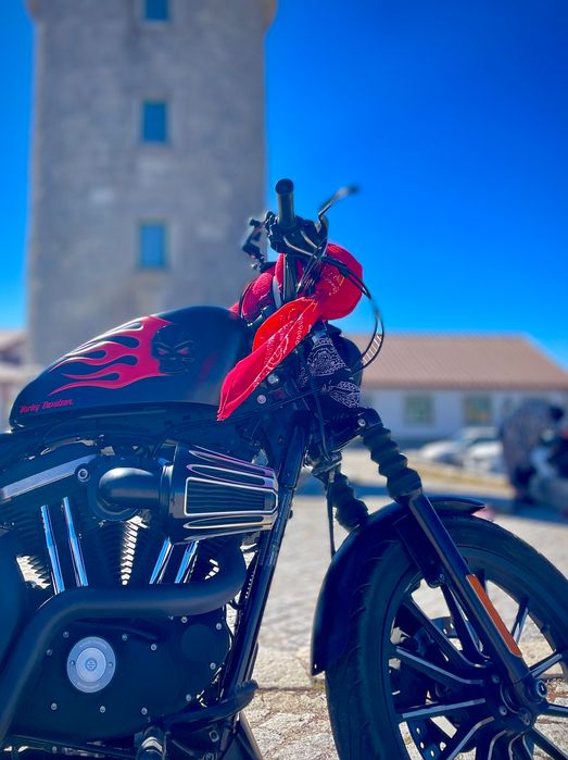 Harley-Davidson Sportster 2015 - Custom