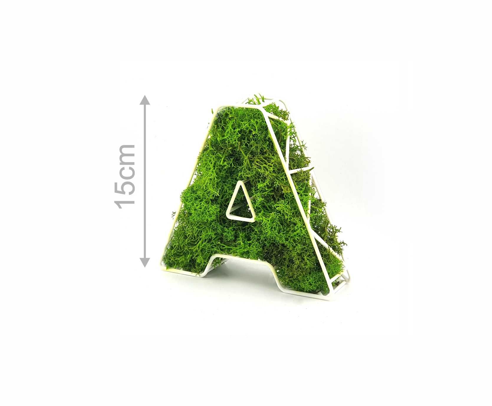 Litera ,inicjały, logo z mchem chrobotkiem – naturalna dekoracja 3D
