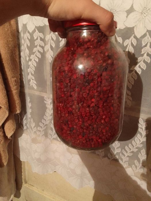 Продам брусницю та ягоди терену.