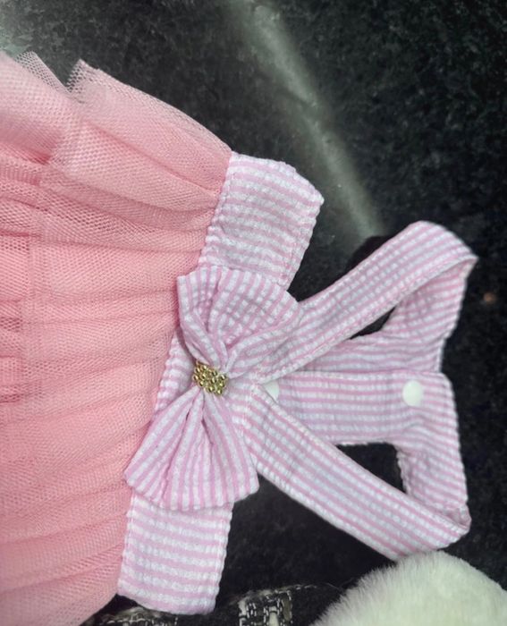 Conjunto roupa Chihuahua (cadela ou gata de porte pequeno)