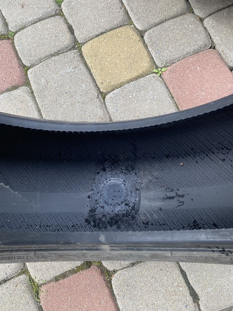 Шини автомобільні Maxxis Presa Snow 195/65 R15