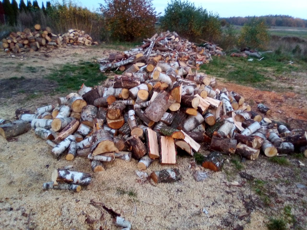 Rozpałka smolak suche drewno za metr 500zl twarde buk dąb