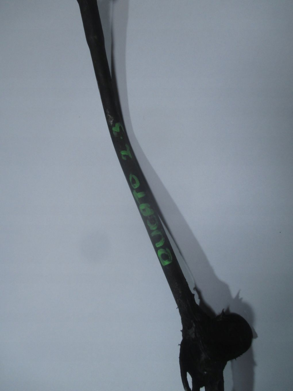 BAGNET MIARKA OLEJU FIAT DUCATO 2.3 06-11 EU 4