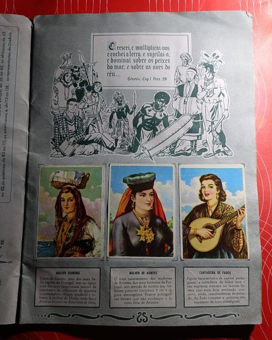 Raças Humanas 1^. série