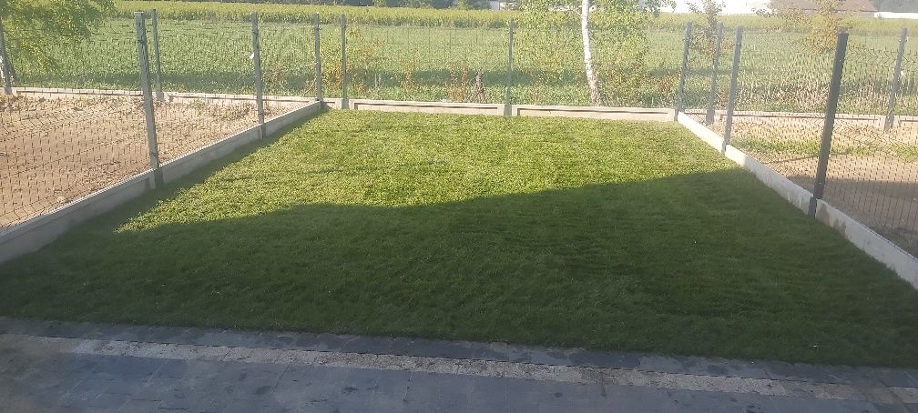 Trawa z rolki – efekt natychmiast!
Kategoria: Podłoża ogrodowe
Tytuł: