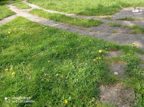 GARAŻ BLASZANY WYNAJMĘ -  Gliwice-Łabędy - obok Biedronki.