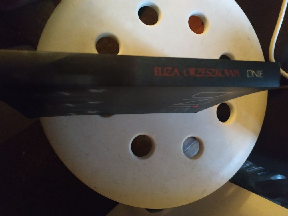 Eliza Orzeszkowa Dzienniki Dnie NOWA
