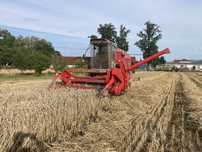 Massey Ferguson 16 Sampo 580 „klimatyzacja „(nie dominator , bizon ,)
