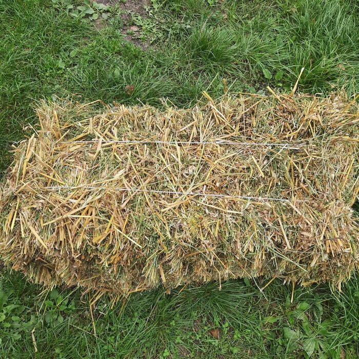 Продам сіно,люцерна+овсянка