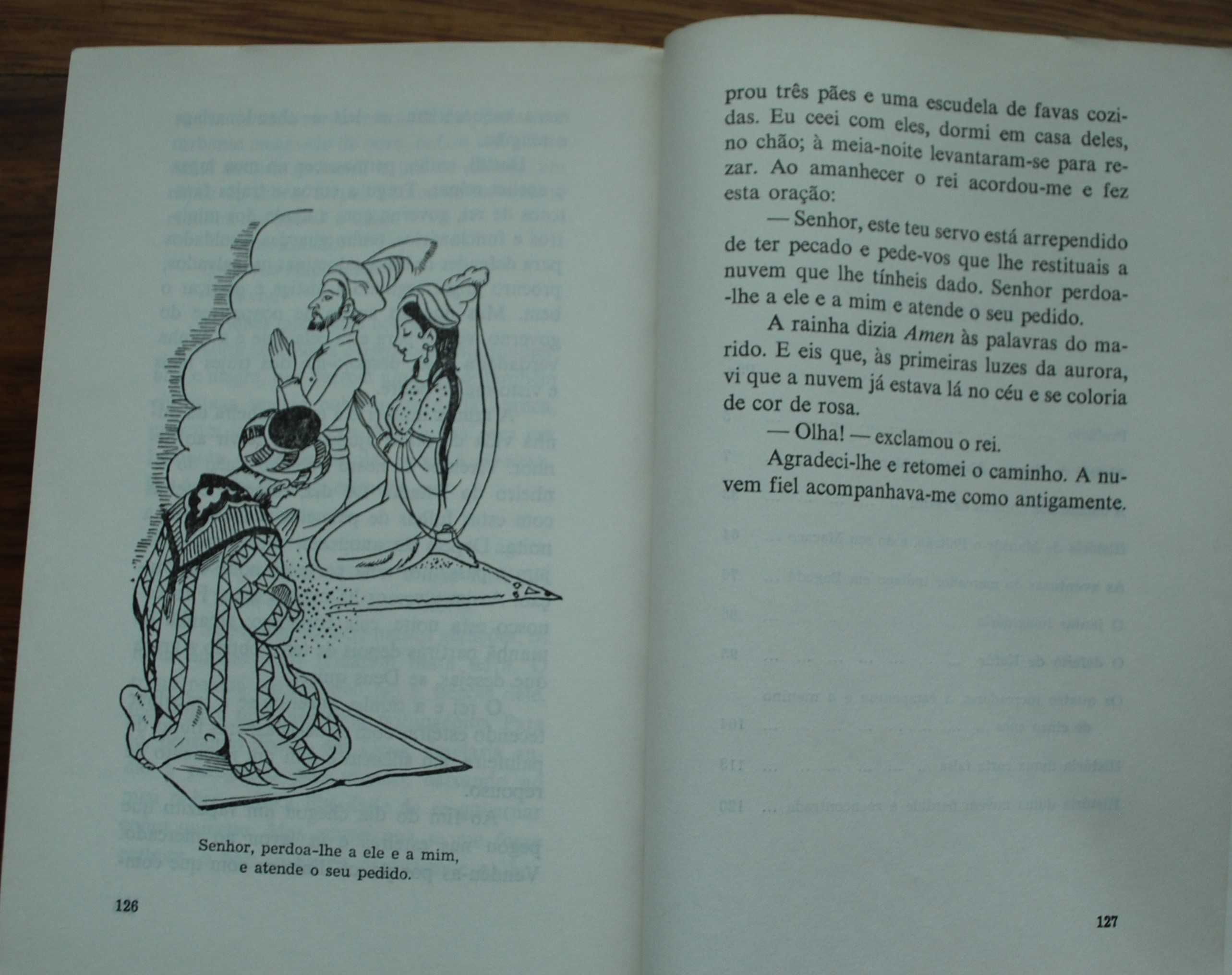 Histórias das Mil e Uma Noites de Virginia Vacca