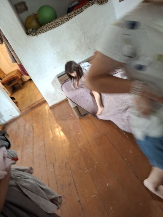 С. Семенівка продаж будинку з земельною ділянкою