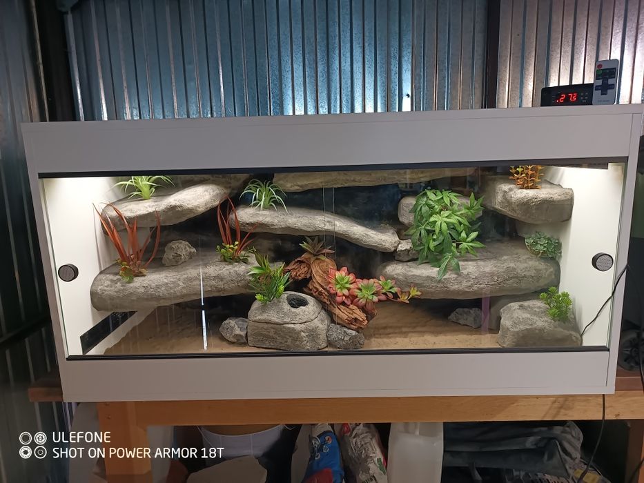 Terrarium 120x60x60 gotowe do zamieszkania