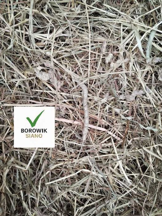 4 kg siano grube z traw szlachetnych z tymotką (ok 5-10% ) BOROWIK
