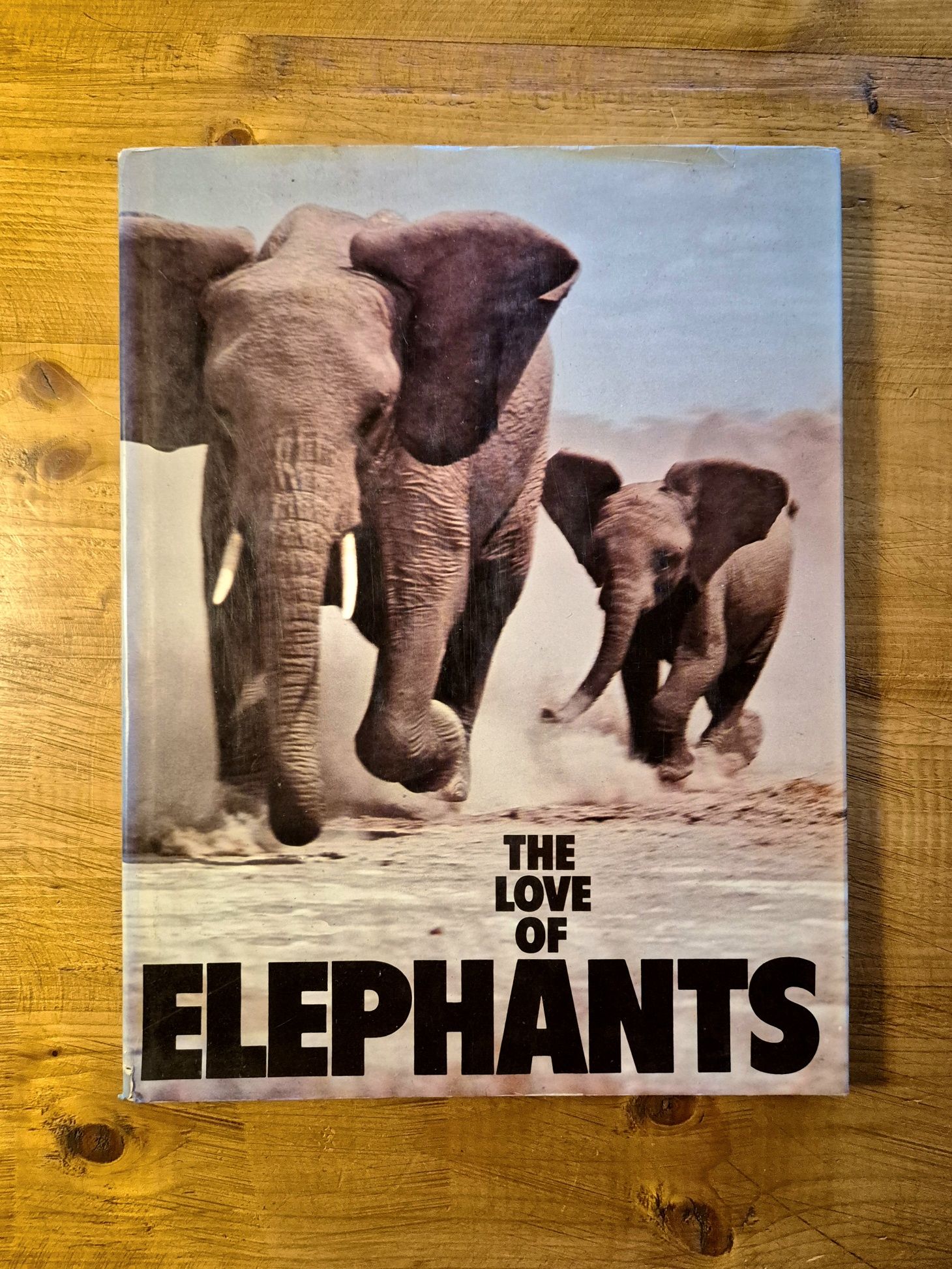 The Love Of Elephants - Neil Murray