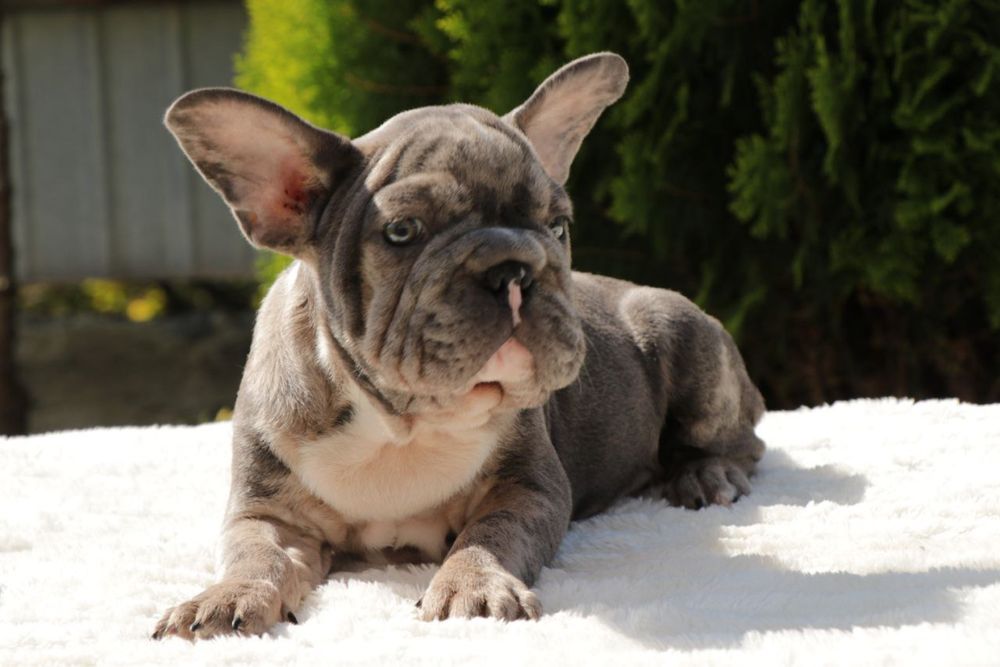 Хлопчик біг роп,доставка обговорюється