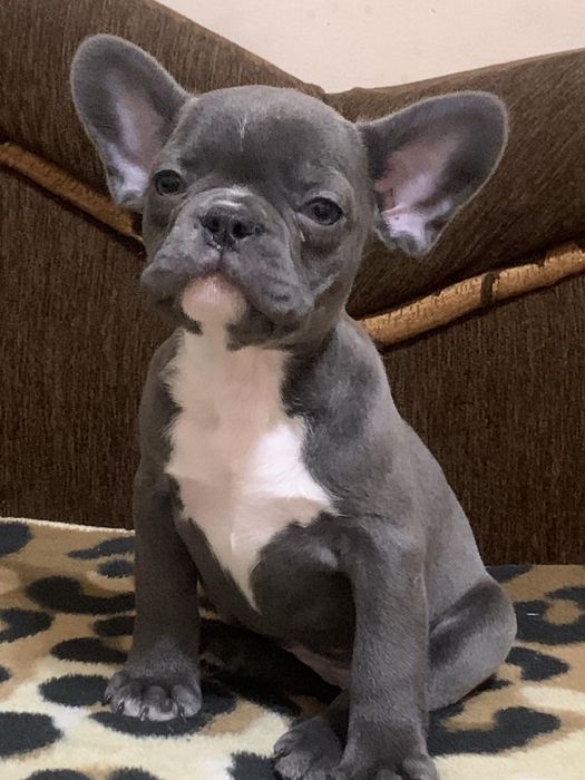 Французські булечки!!!