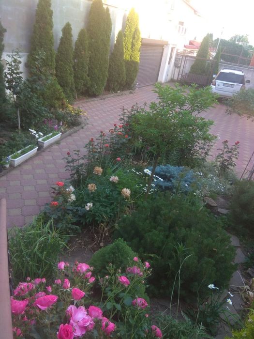 Сдам 2 дома Киевский район 2 к + кухня студия,солнечные батареи!