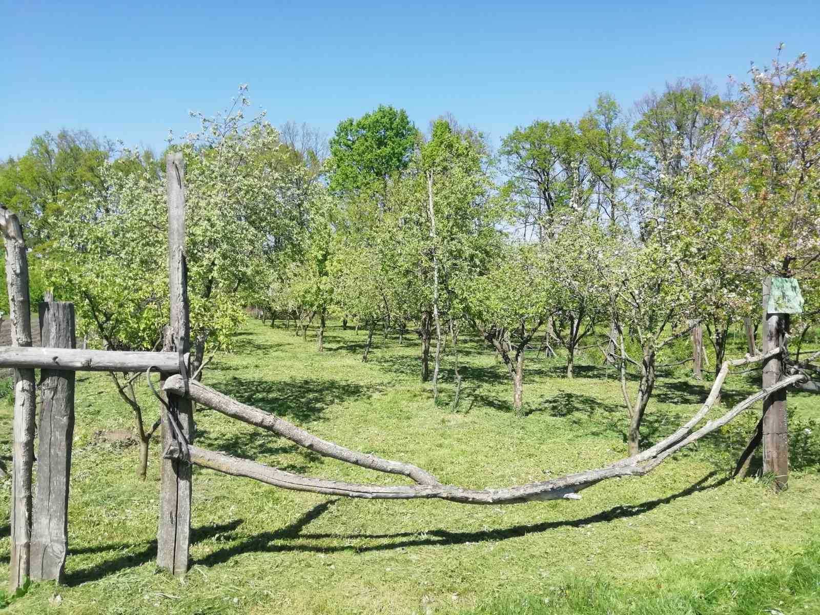 Продам не просто ділянку, а місце, де відновлюється душа