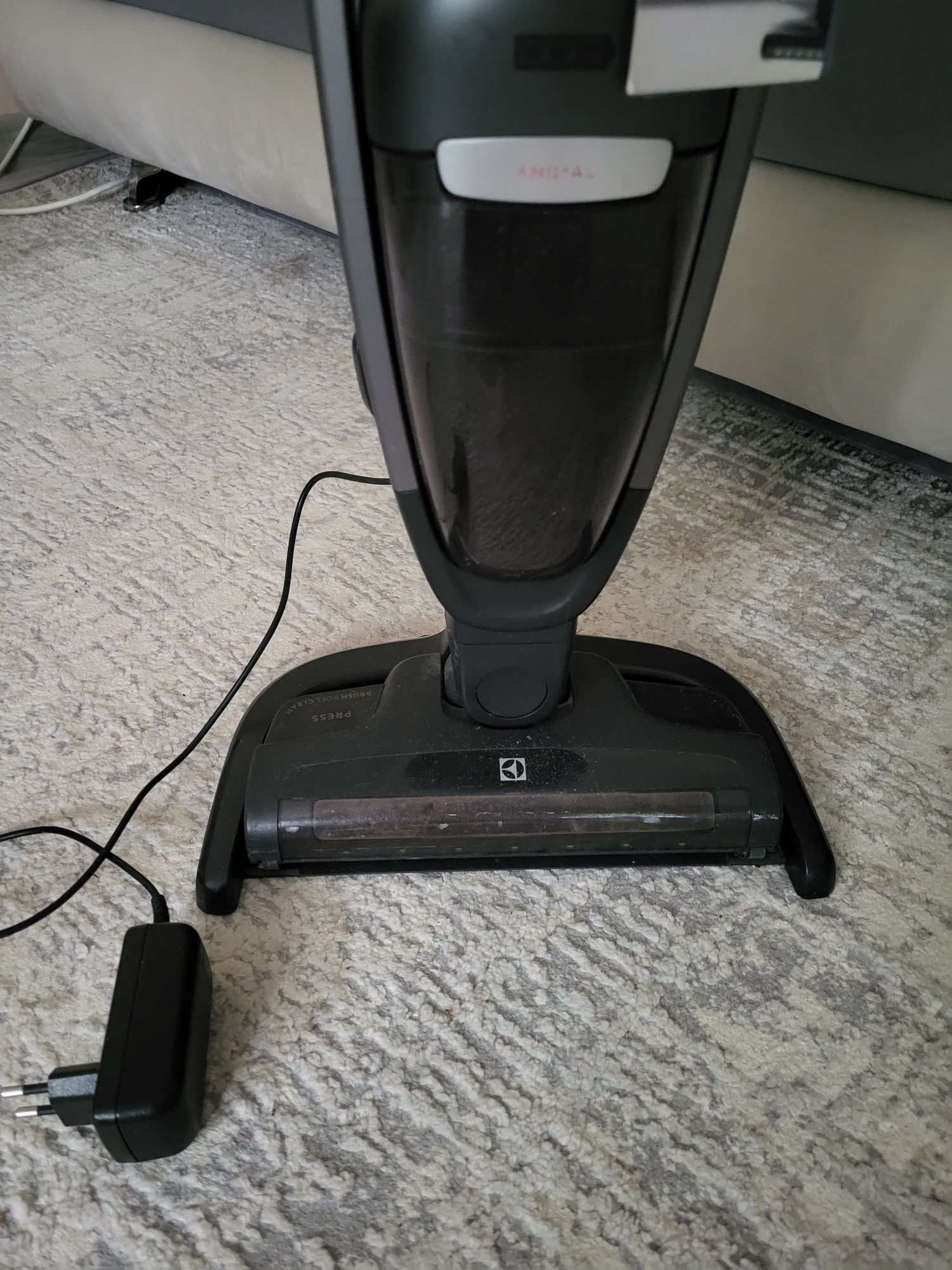 Odkurzacz pionowy Electrolux pure Q9 anima