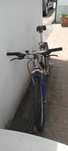 Bicicleta Alumínio Cinzenta com amortecedor