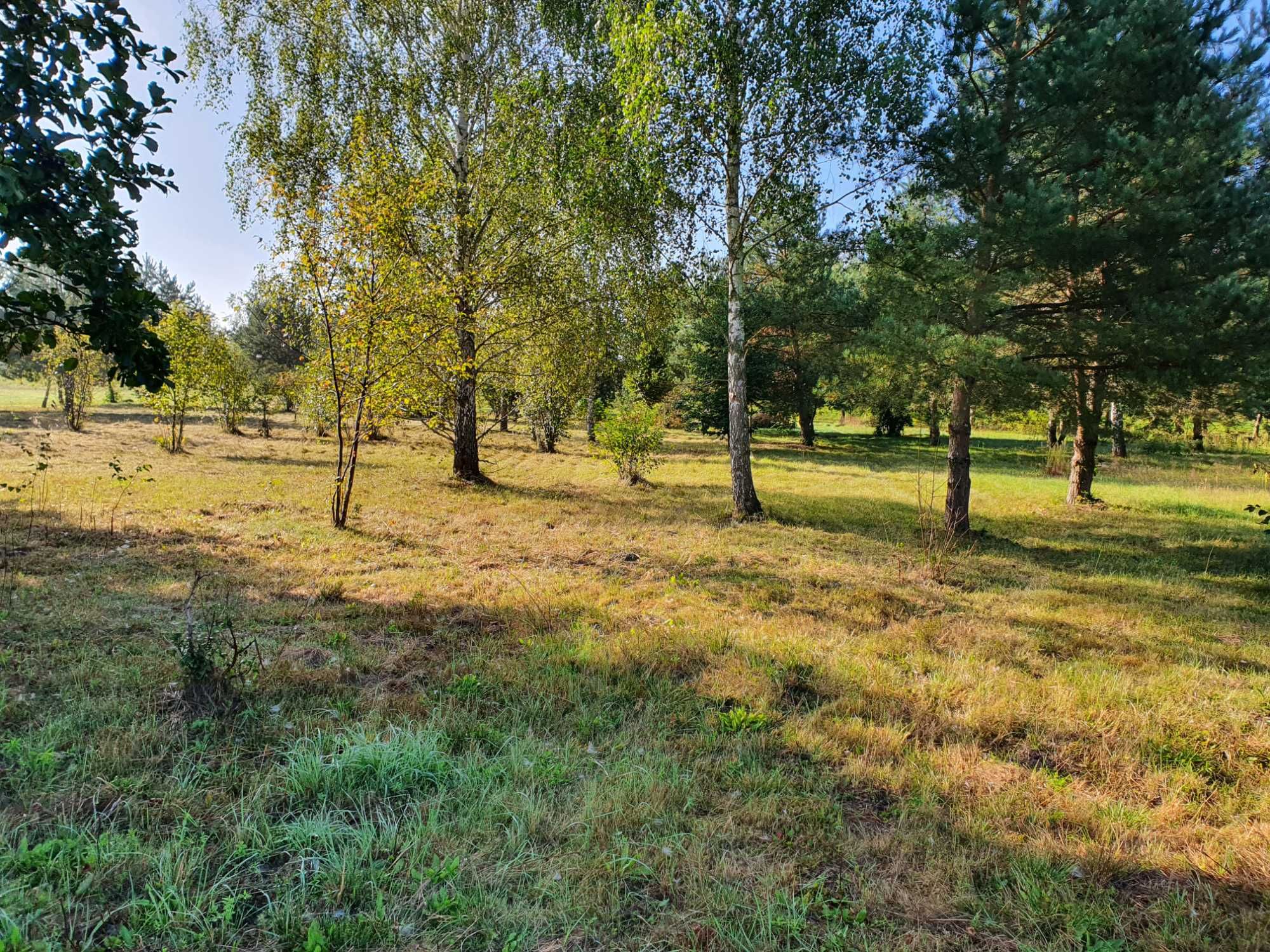 Działka nad Bugem Tuchlin Mazowieckie.