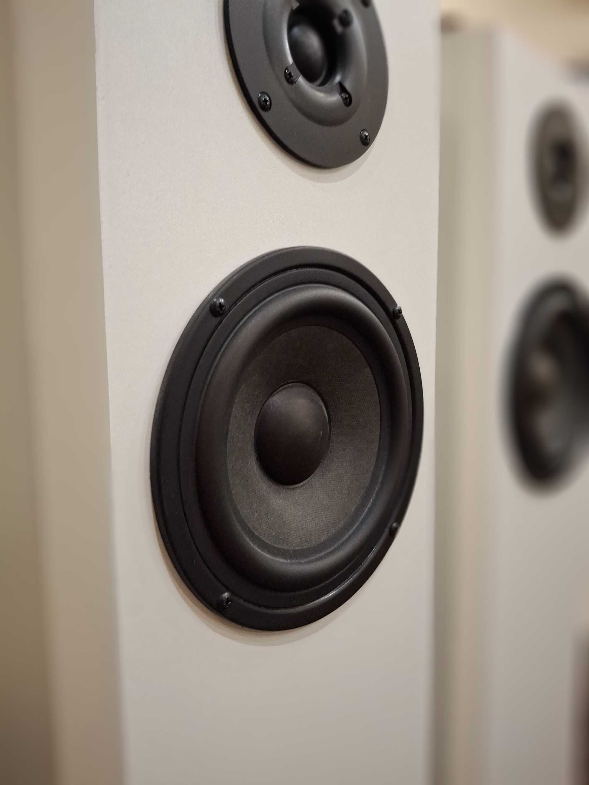 Рупорная акустика Crystal Sound 604 с отличным басом