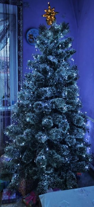 Ялинка сосна новорічна 2м