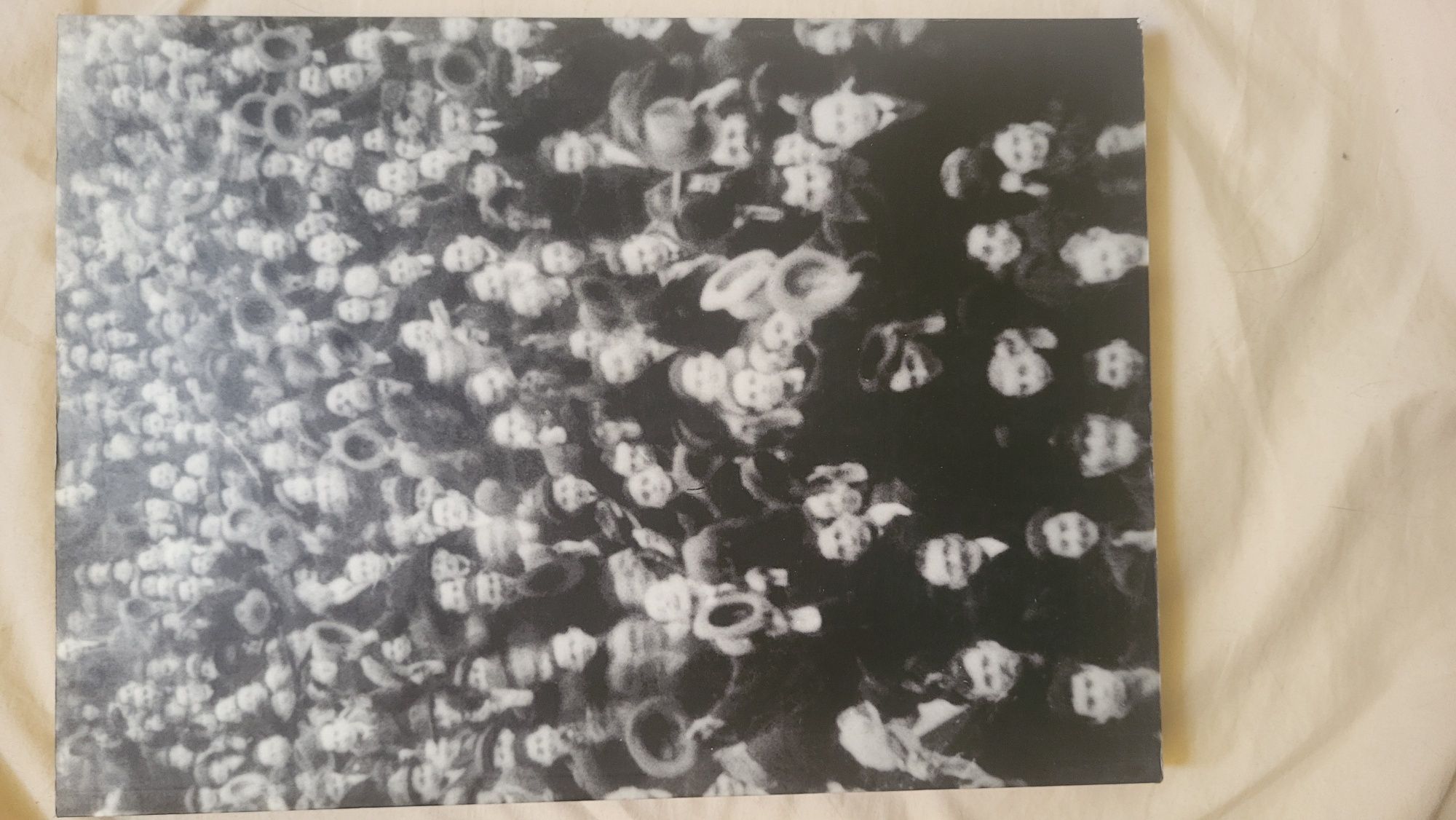 Rarytas! Album Żydzi Warszawy 1861- 1943