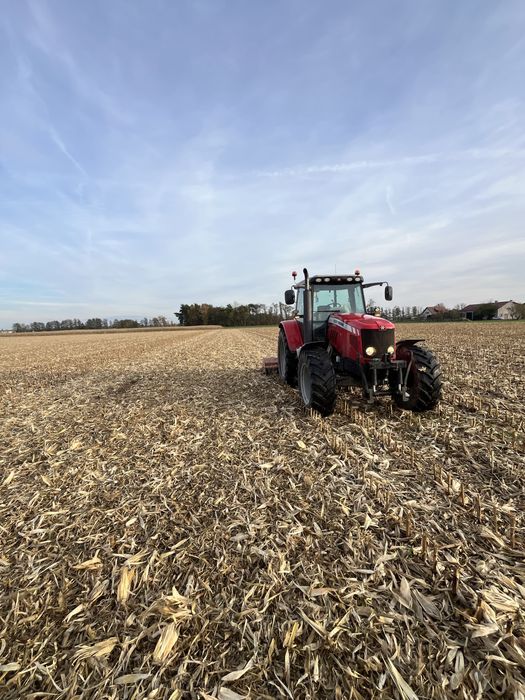 Mulczowanie ściernisk kukurydzy, traw, poplonów, nieużytków, rowów