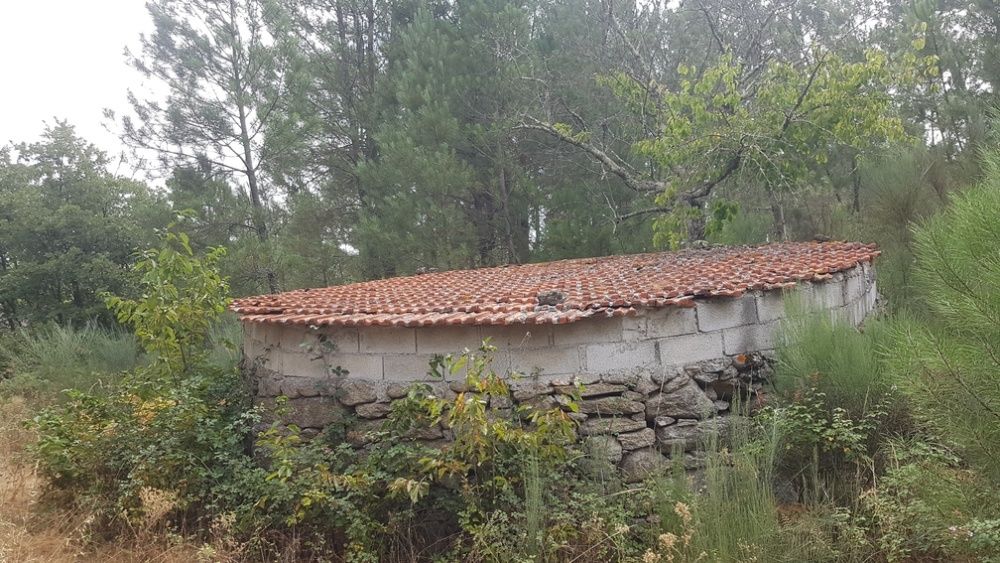 Terreno junto a ribeiro - Abrunhosa A Velha - REDUÇÃO VALOR