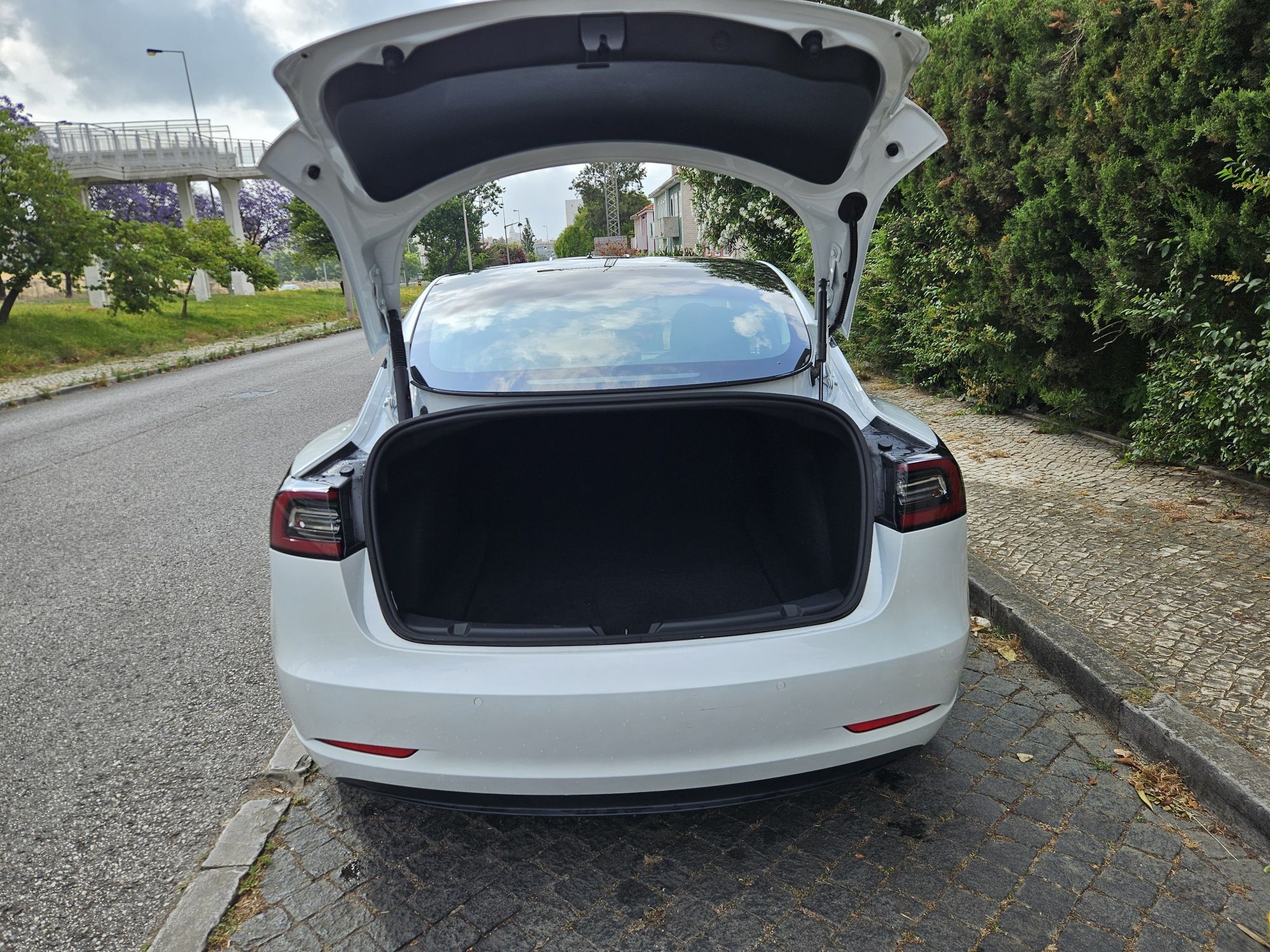 Tesla 3 standard  range plus