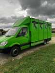 Mercedes sprinter 515 Do żywca (bydła,zwierząt)