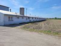 Hala kurnik 1200m2 + wiata + działka 0,54ha