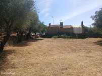 Quintinha