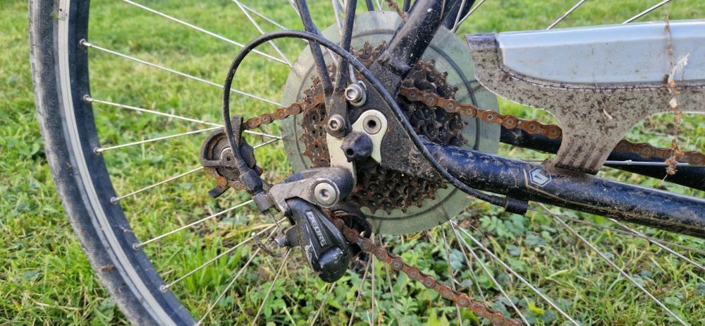 Rower Bergamont Trekking Performance Eliteblades Sponsor Tour Deore!