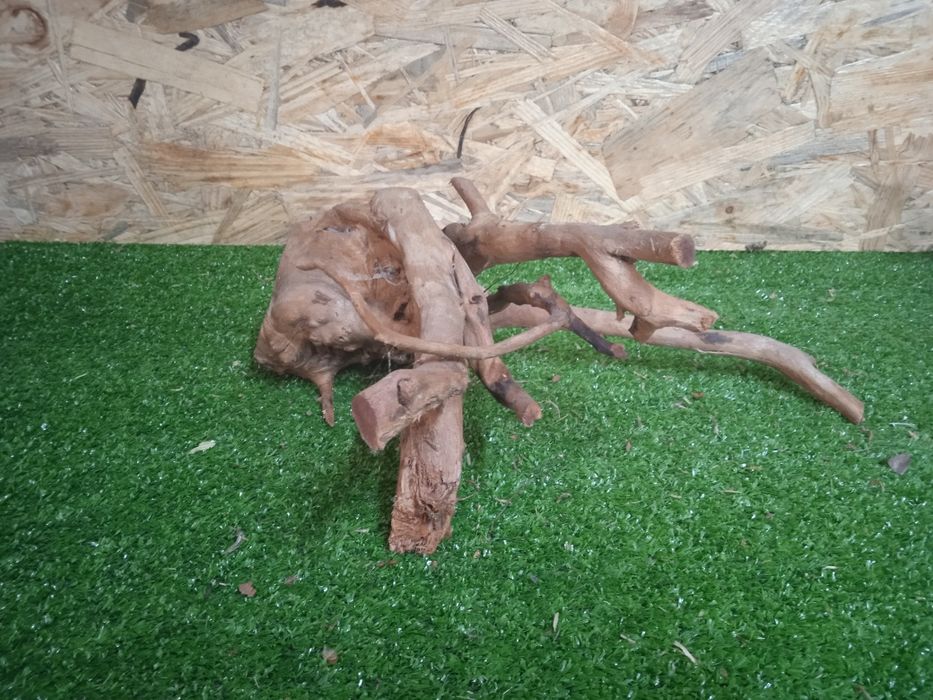 Korzeń do akwarium Red Moore Wood nr 706 o wymiarach 30/12/26