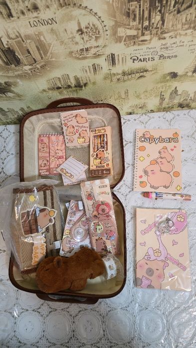 Набір канцелярії Capybara кейс з капібарою, блокноти, наліпки, ручки